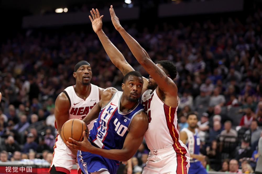 你是想做条 你是想做条